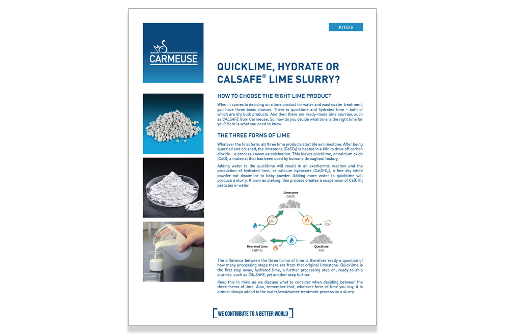 Three Forms of Lime Article