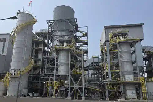 Full plant view
