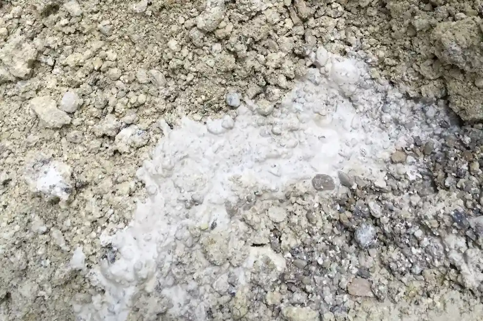 Close up Lime in Grit